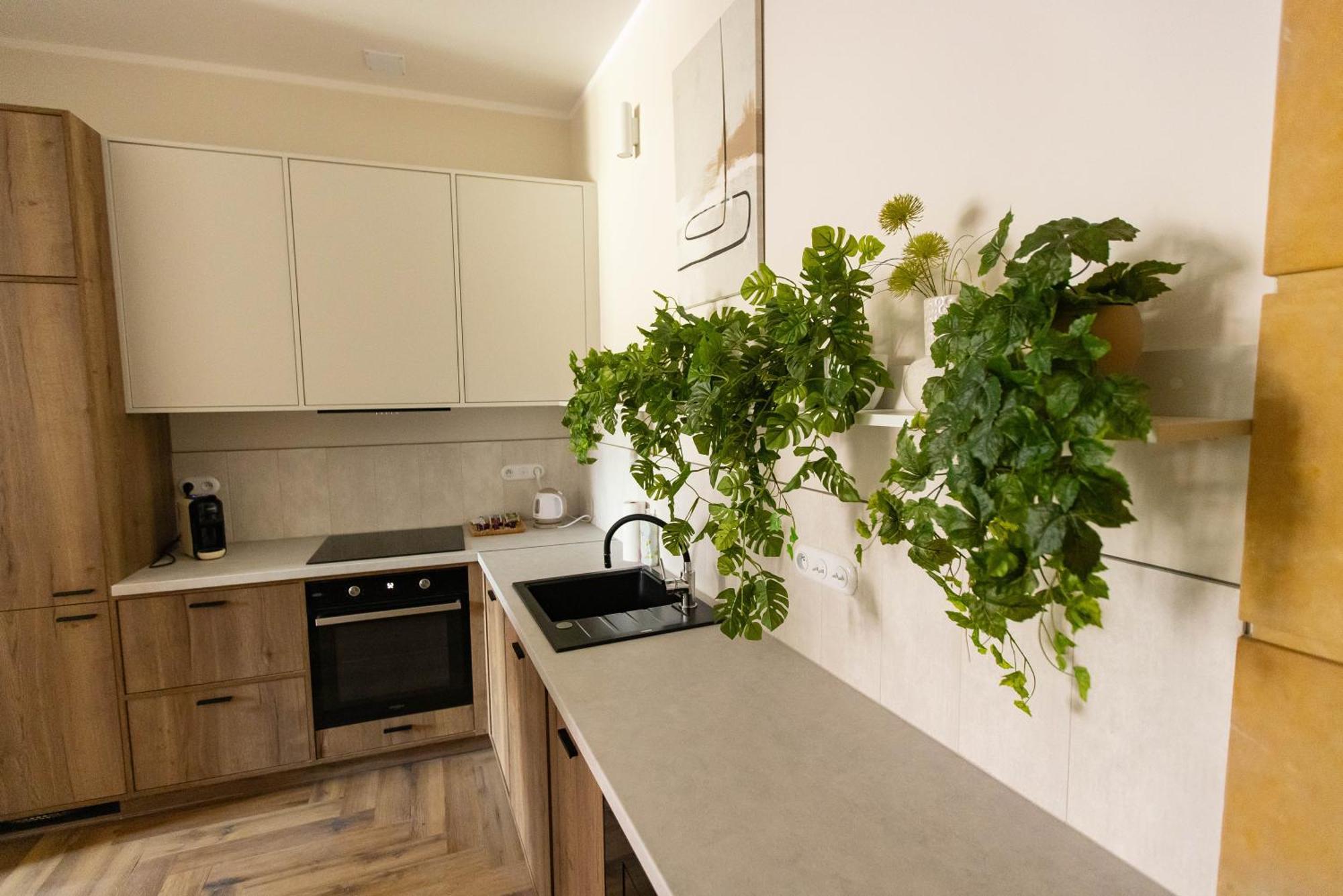 Apartamenty Rynek 12 Tarnów Dış mekan fotoğraf