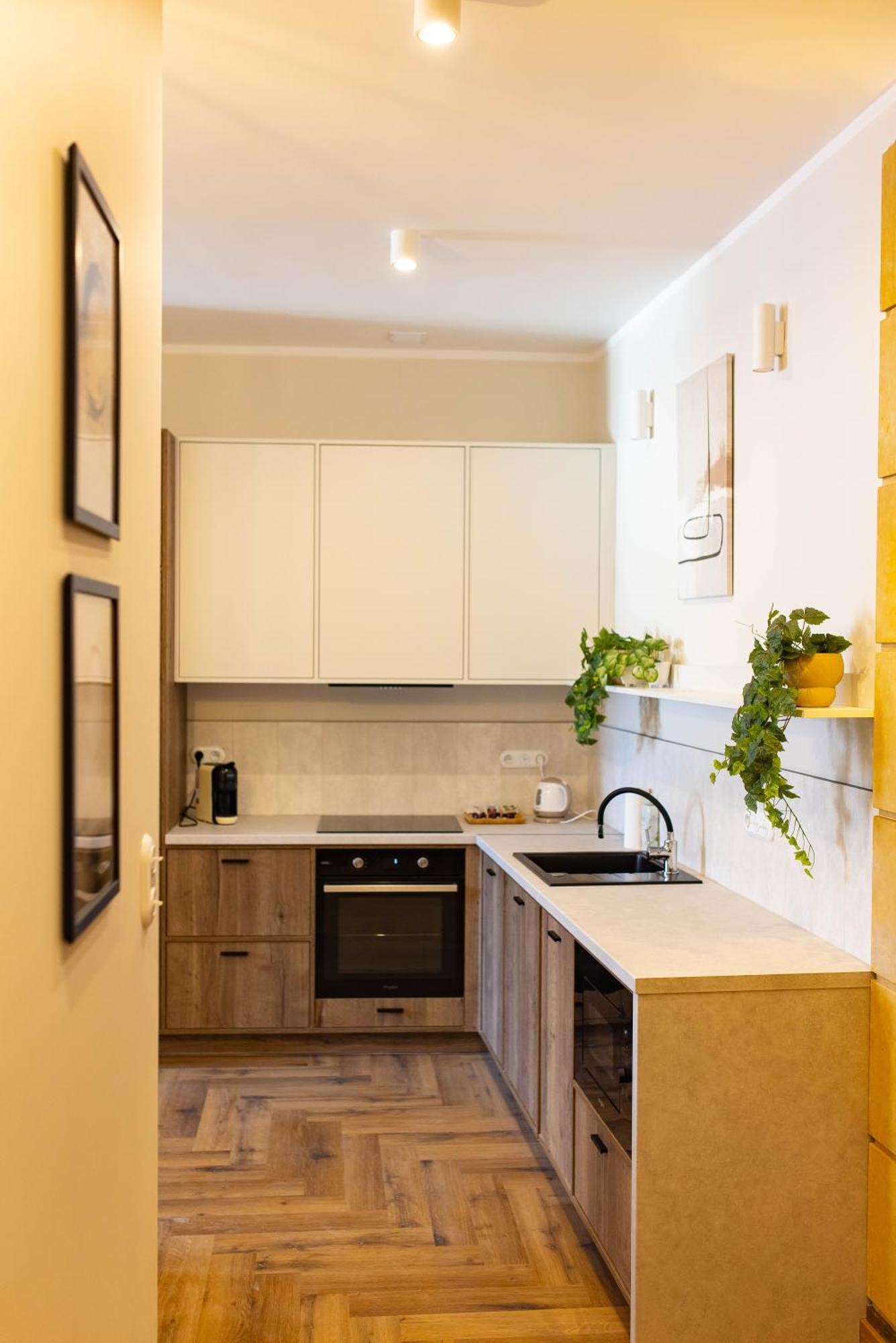 Apartamenty Rynek 12 Tarnów Dış mekan fotoğraf